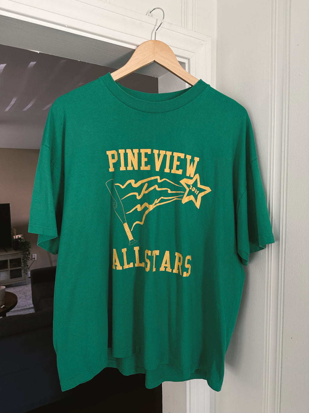Vtg Pineview Baseball T-Shirt (XL)
