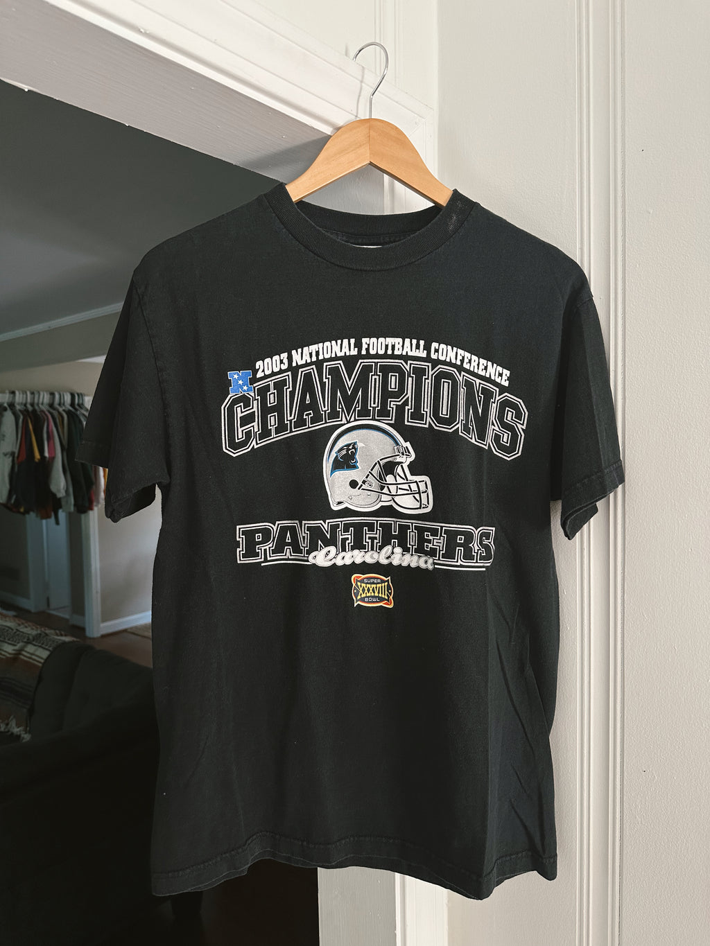 Vtg Panthers T-Shirt (M)