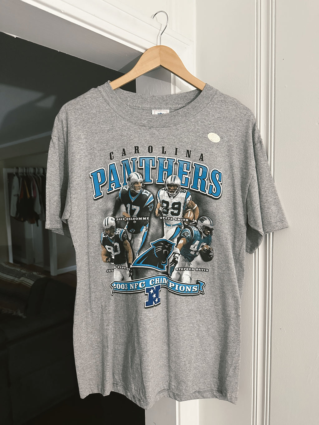 Vtg Panthers T-Shirt NWT (M)