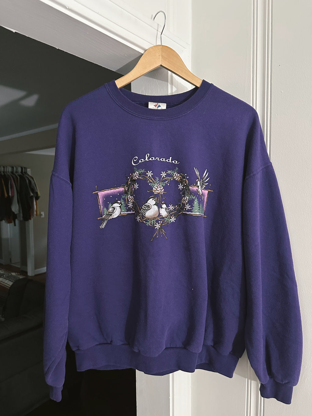 Vtg Colorado Crewneck (XL)